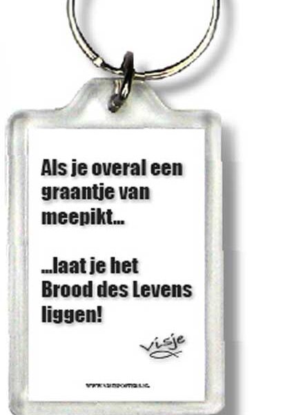 Visje sleutelhangers