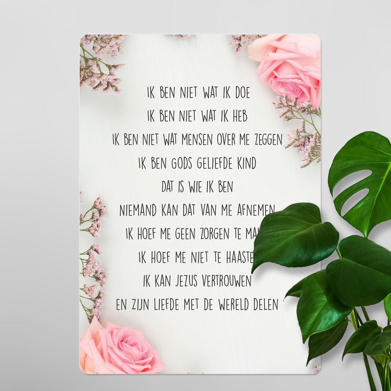 Interieurbord 'Credo - roos'