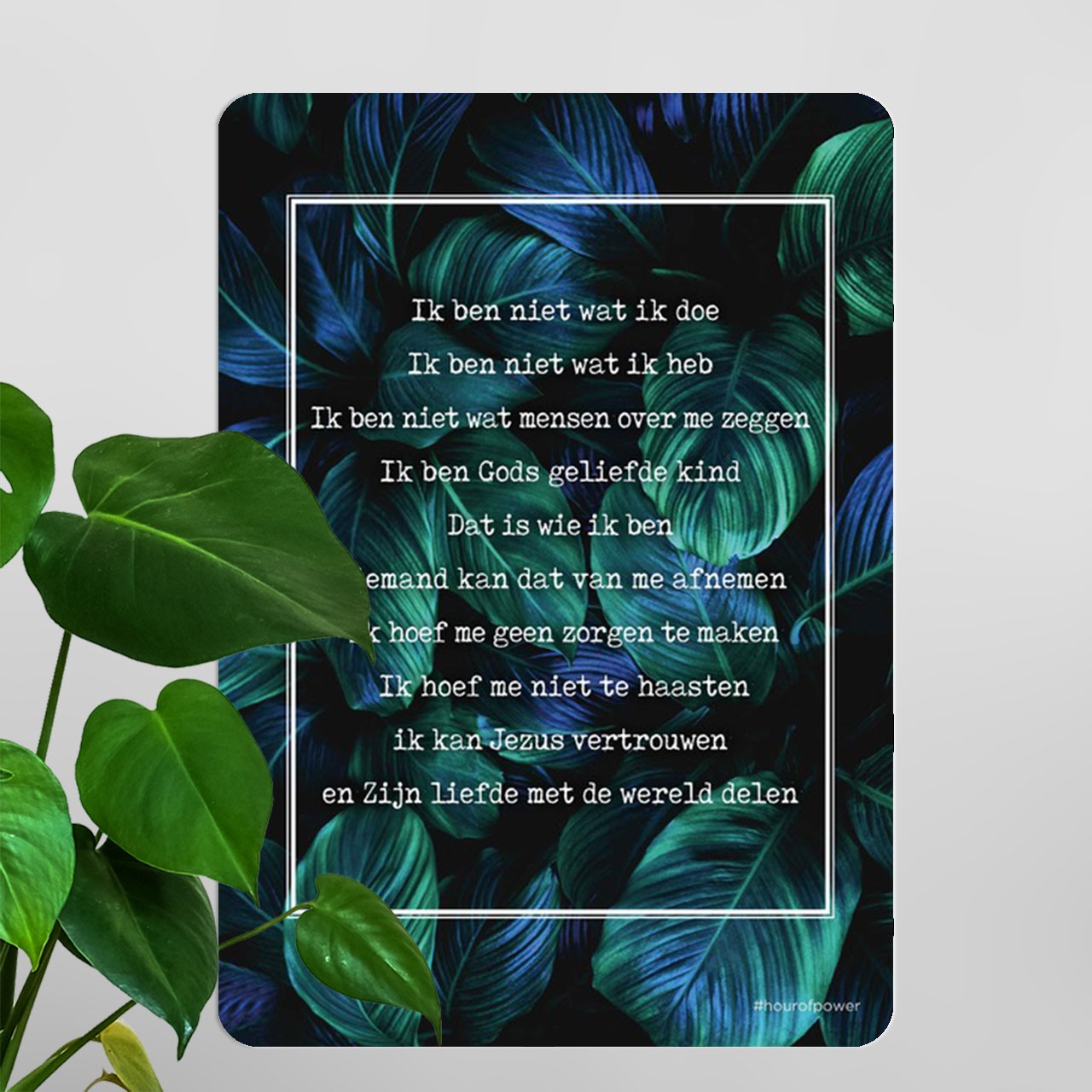 Interieurbord 'Credo - bladeren'