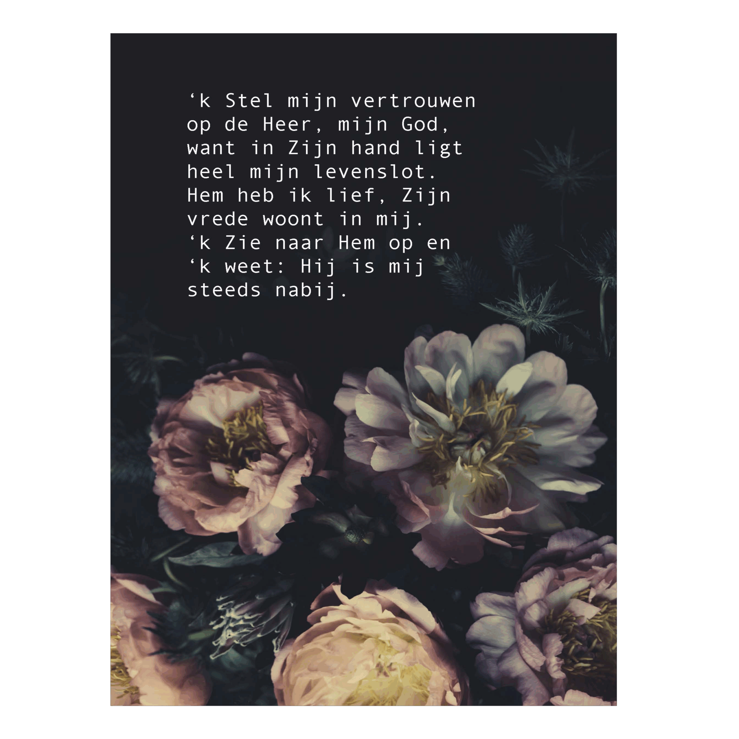 Poster A4 'Stel mijn vertrouwen'