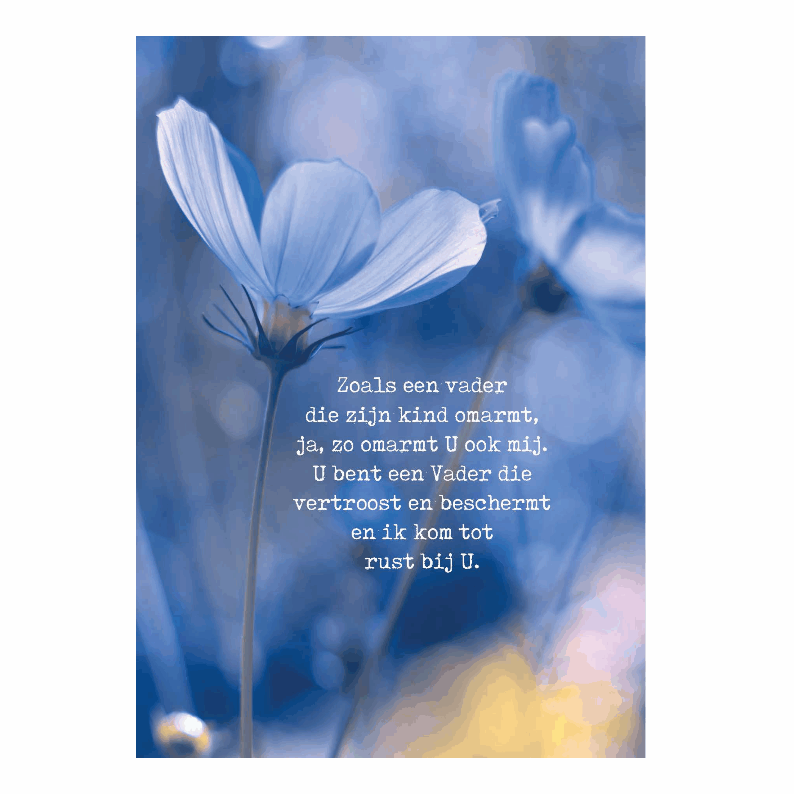 Poster A4 'Zoals een Vader die zijn kind'