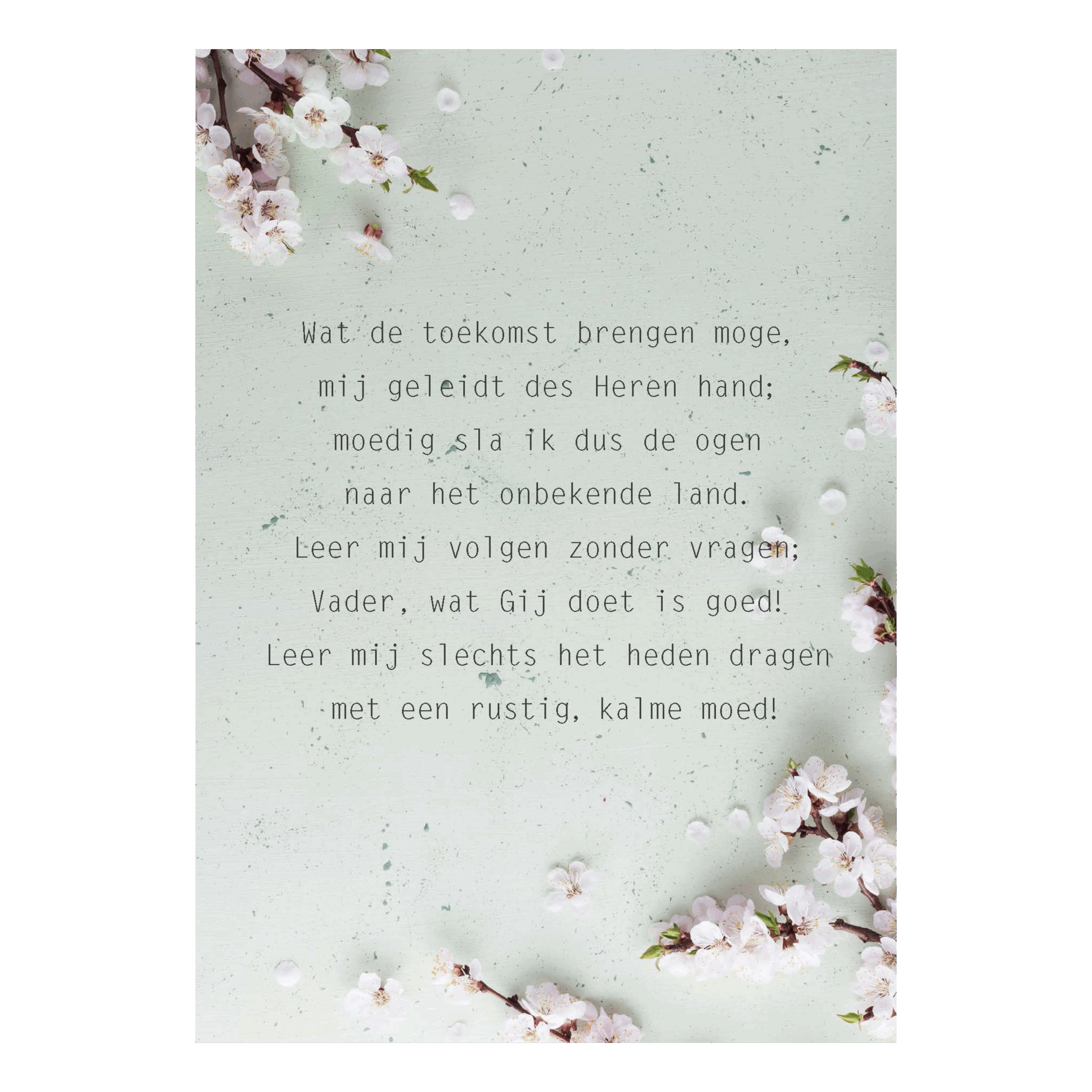 Poster A4 'Wat de toekomst brengen moge'