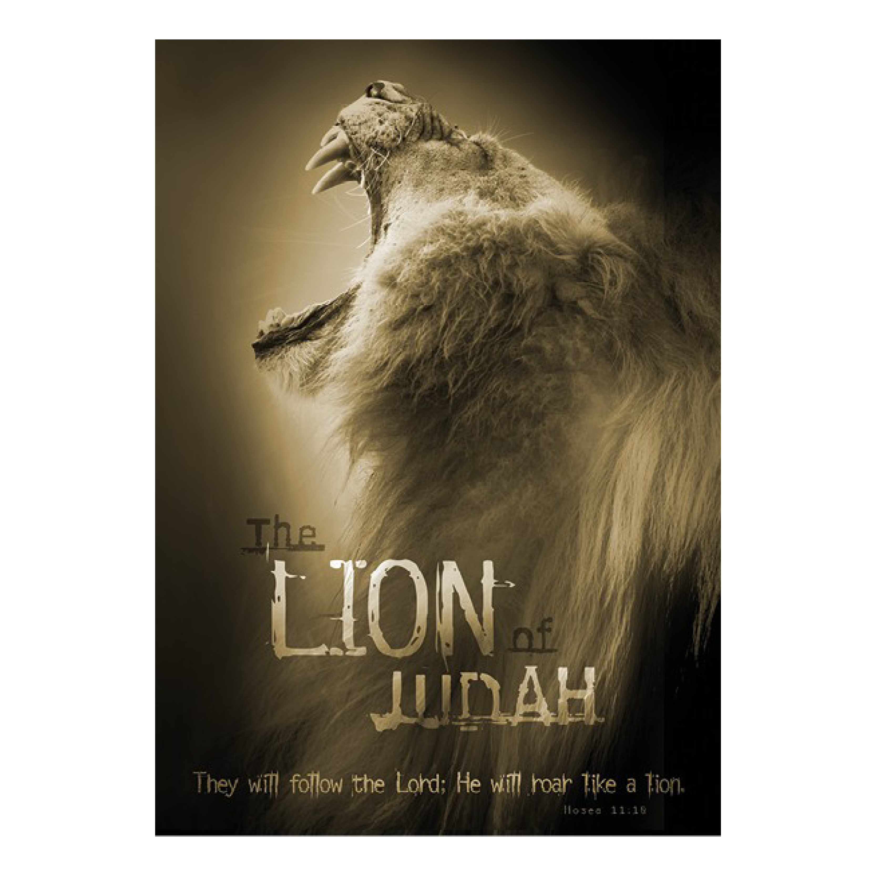 Poster 50x70 'The lion of Judah'