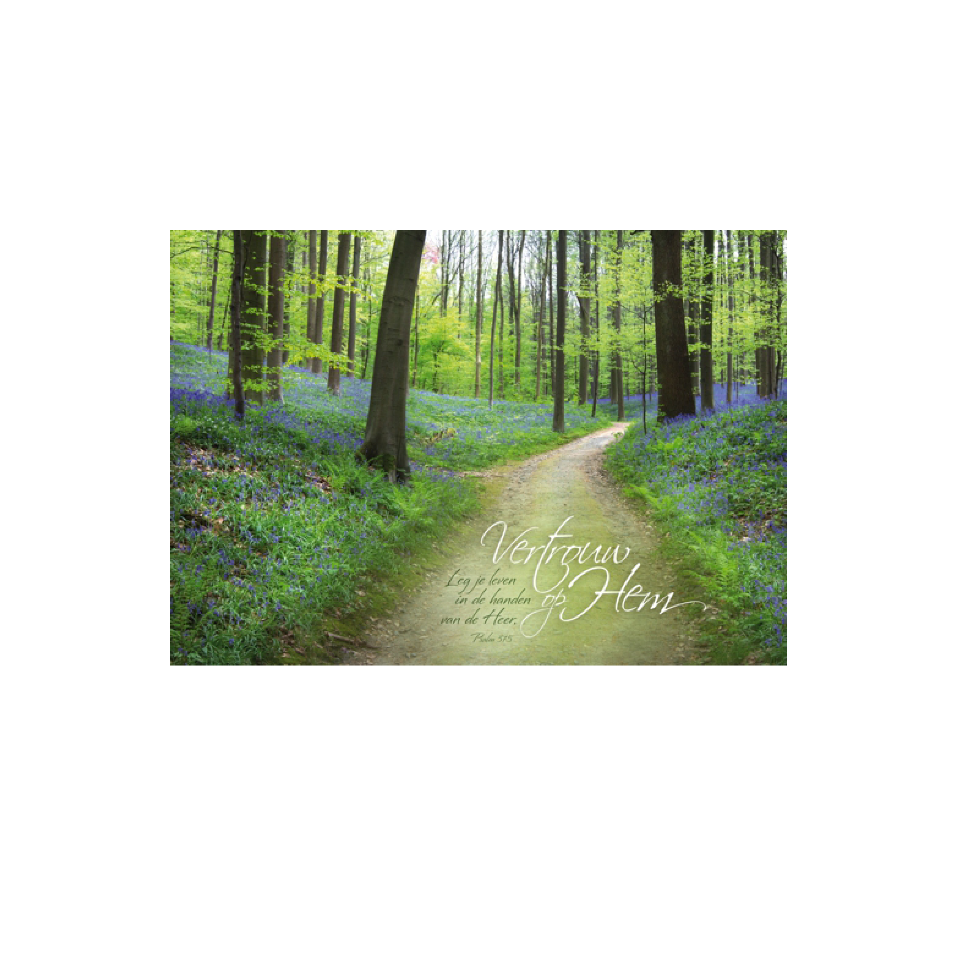 Poster A3 'Vertrouw op Hem'