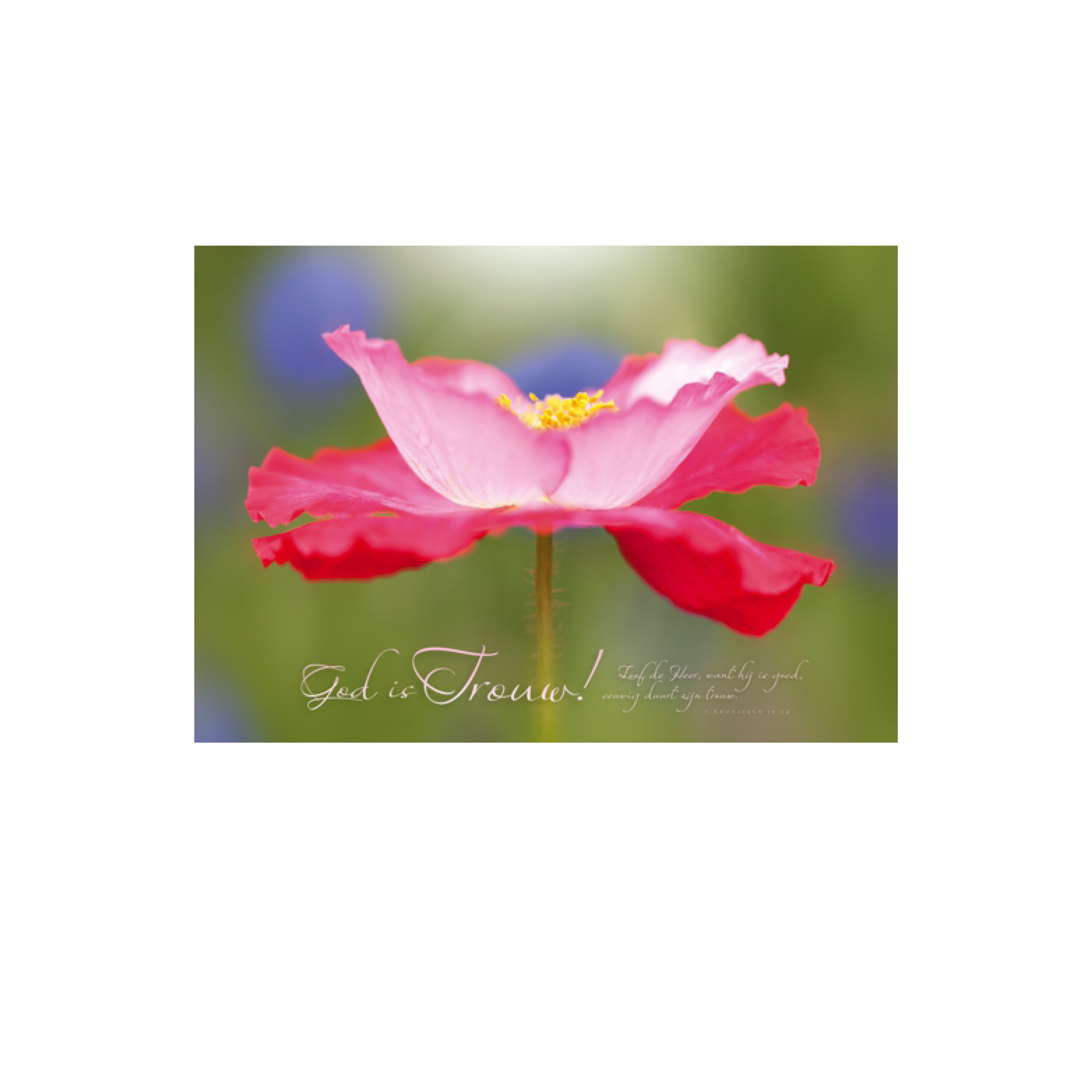 Poster 'God is trouw'