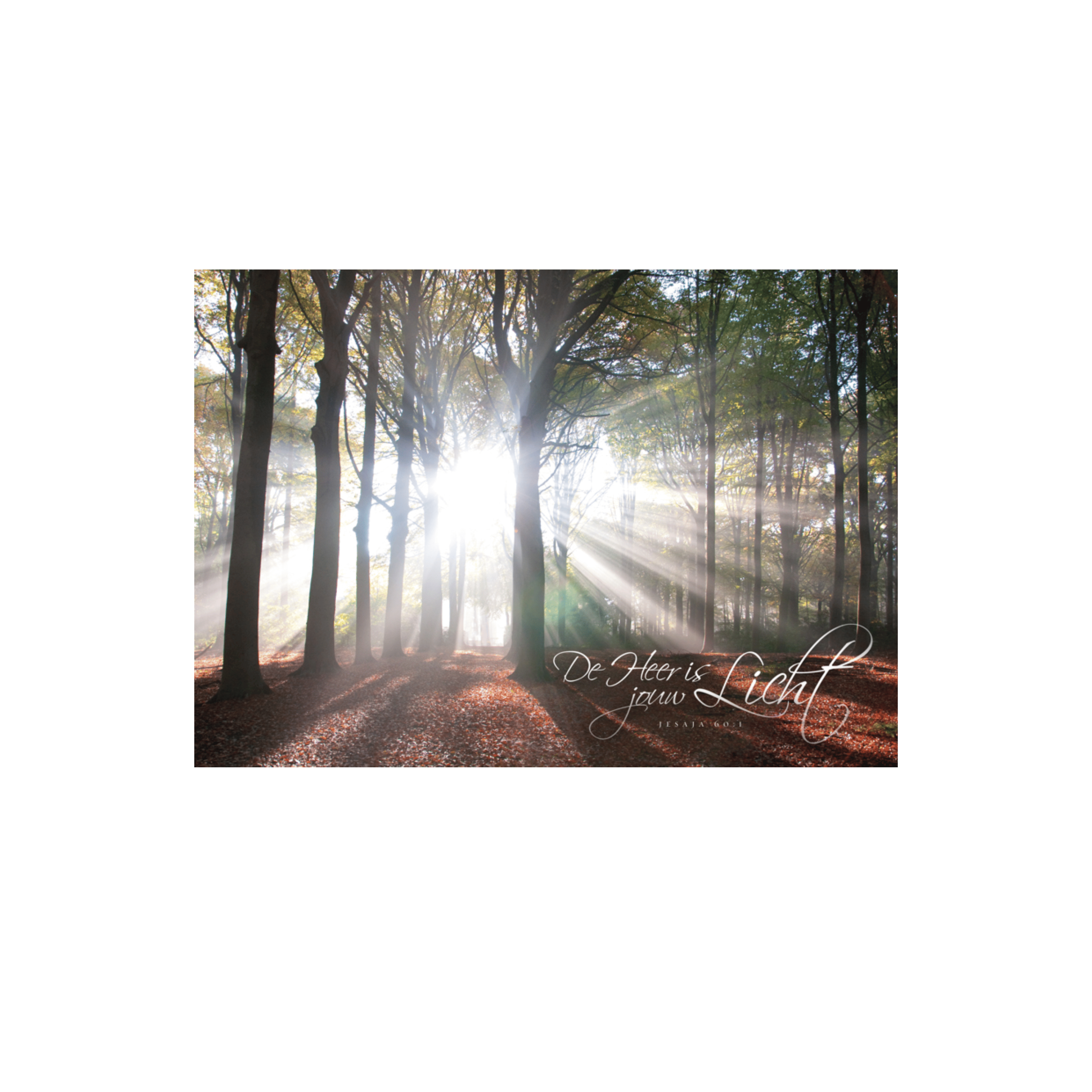 Poster A3 'De Heer is jouw licht'