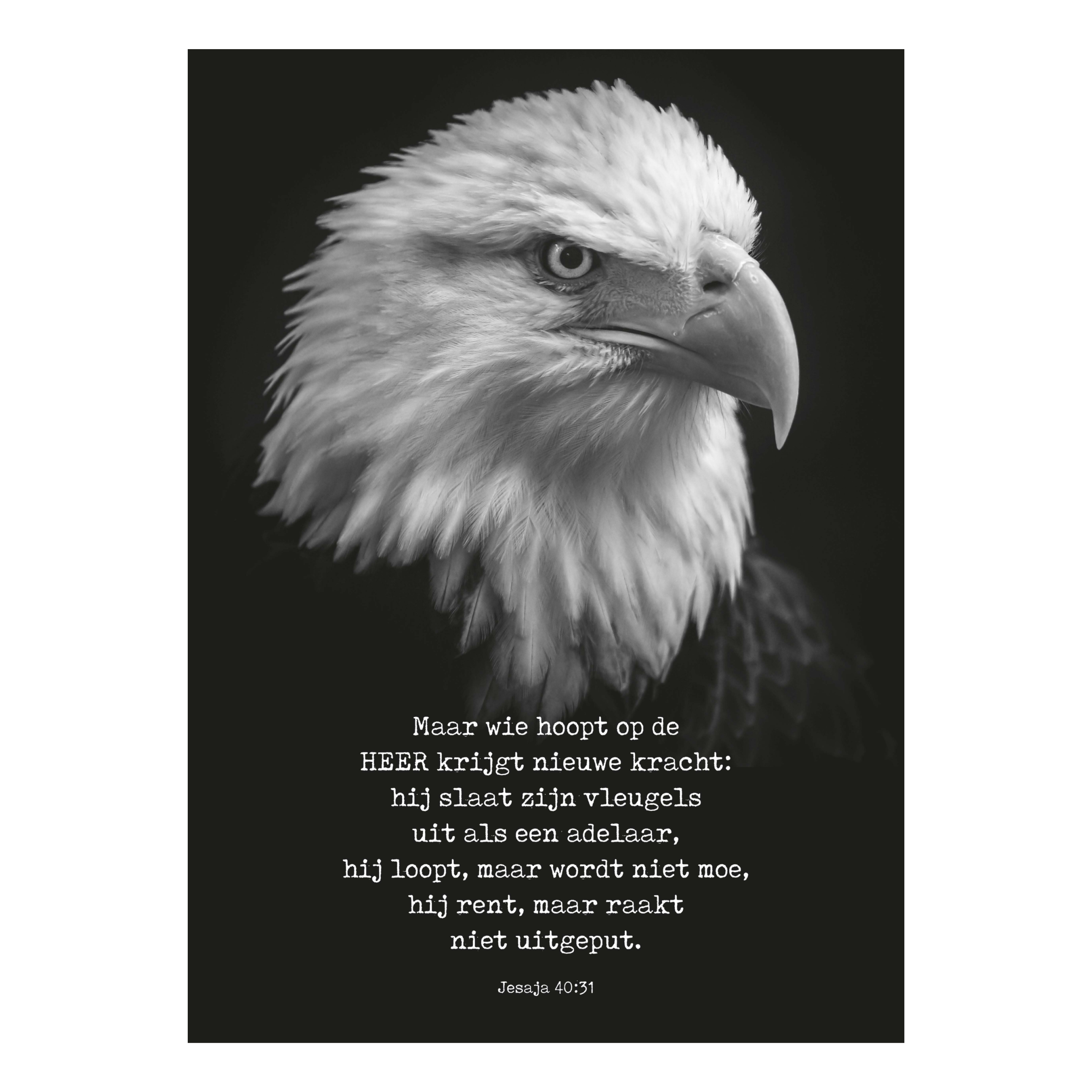 Metal Deco A3 'Wie hoopt op de Heer'