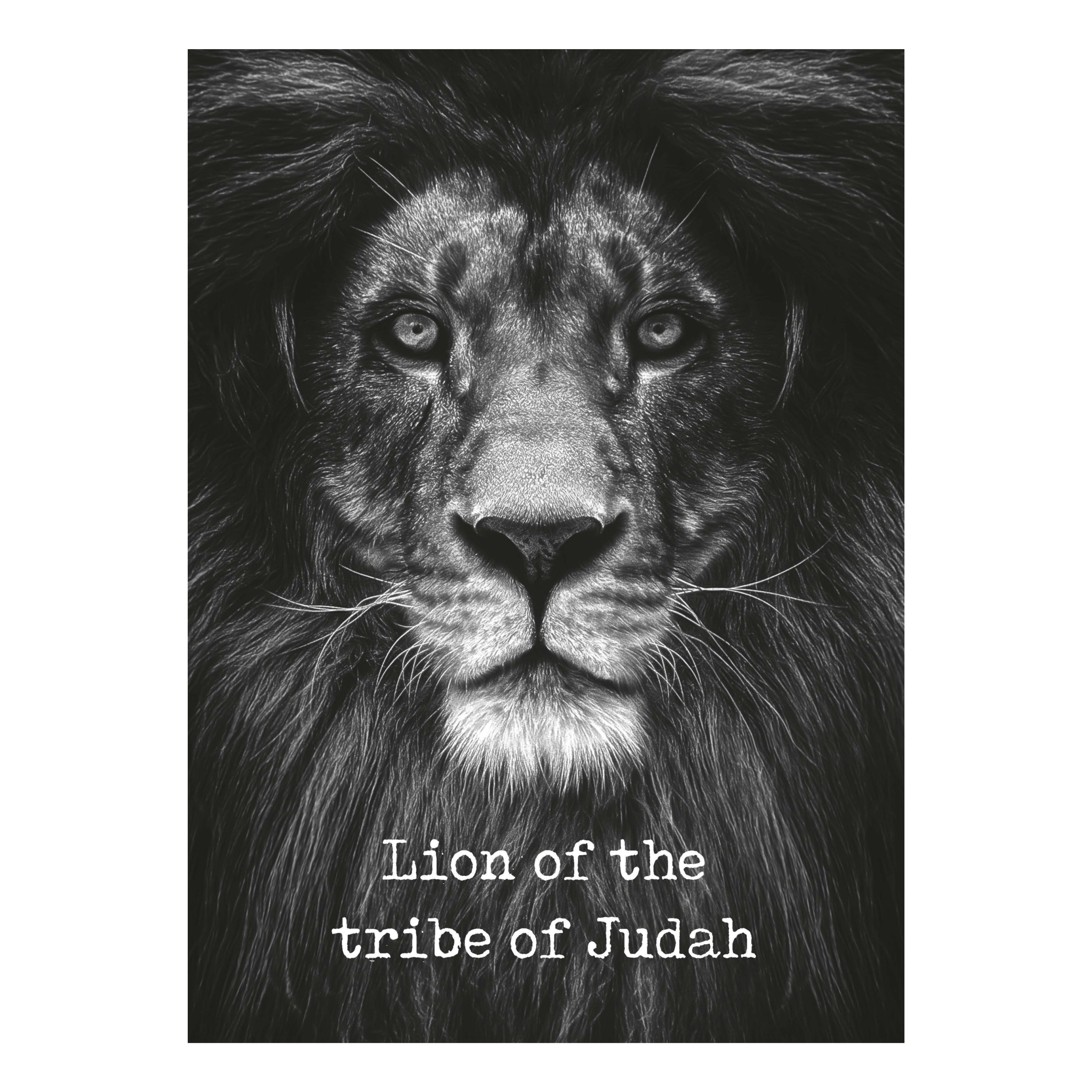 Metal Deco A3 'Lion of the tribe of Judah'