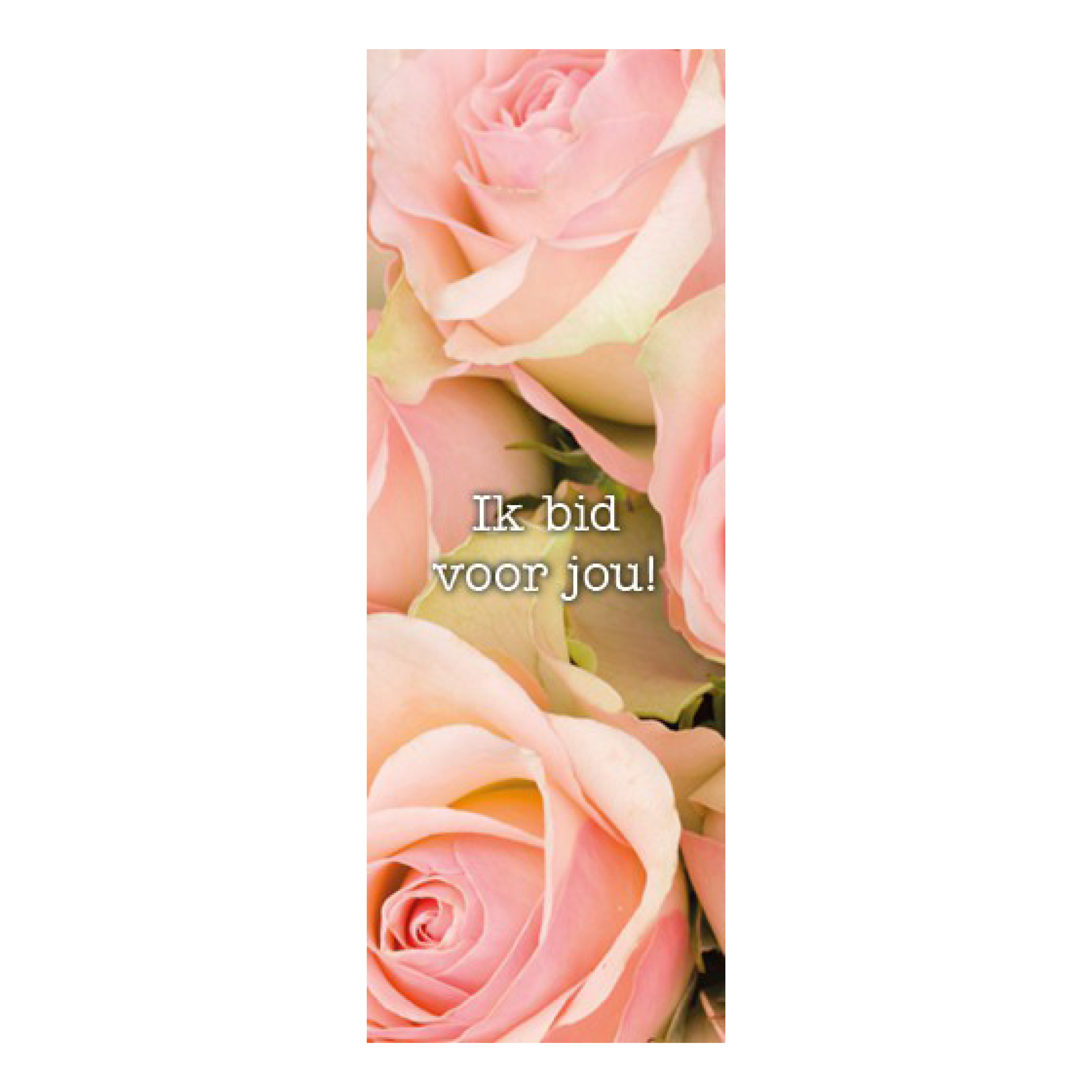 Boekenlegger ik bid voor jou roos