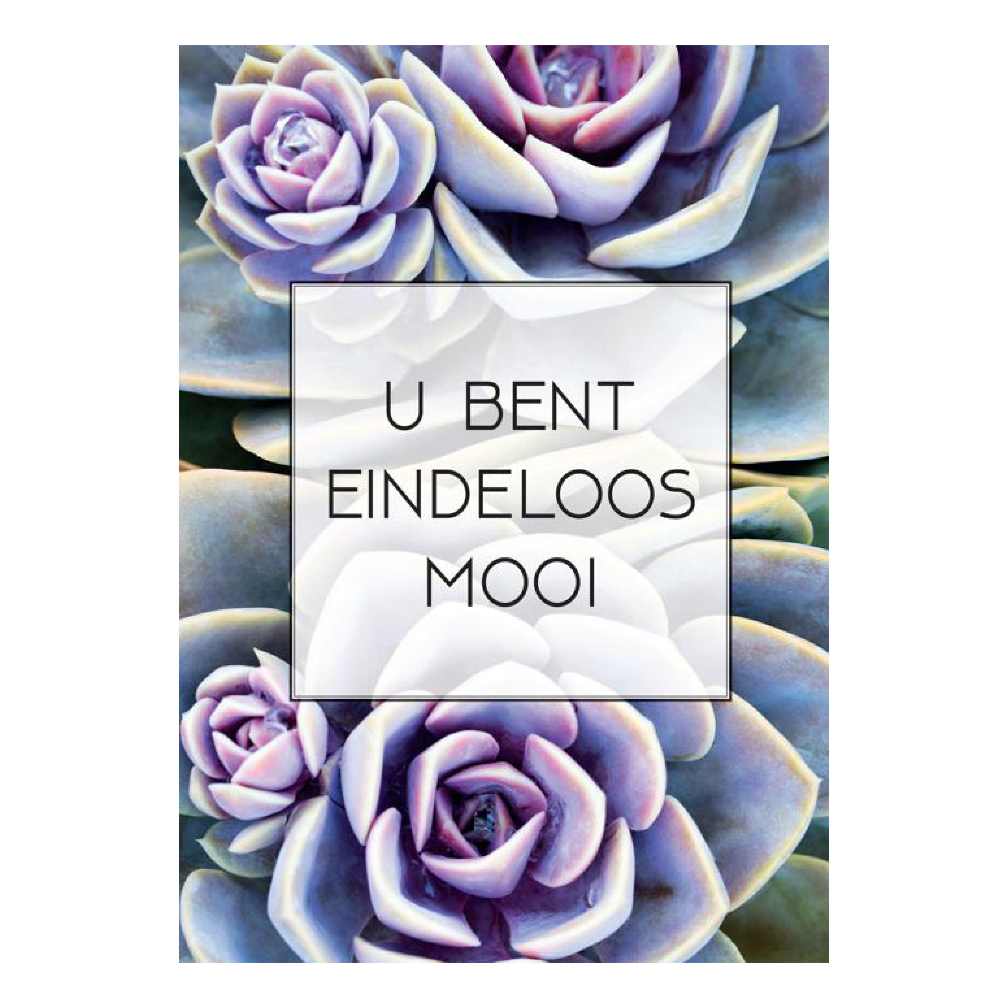 Poster 'U bent eindeloos mooi'