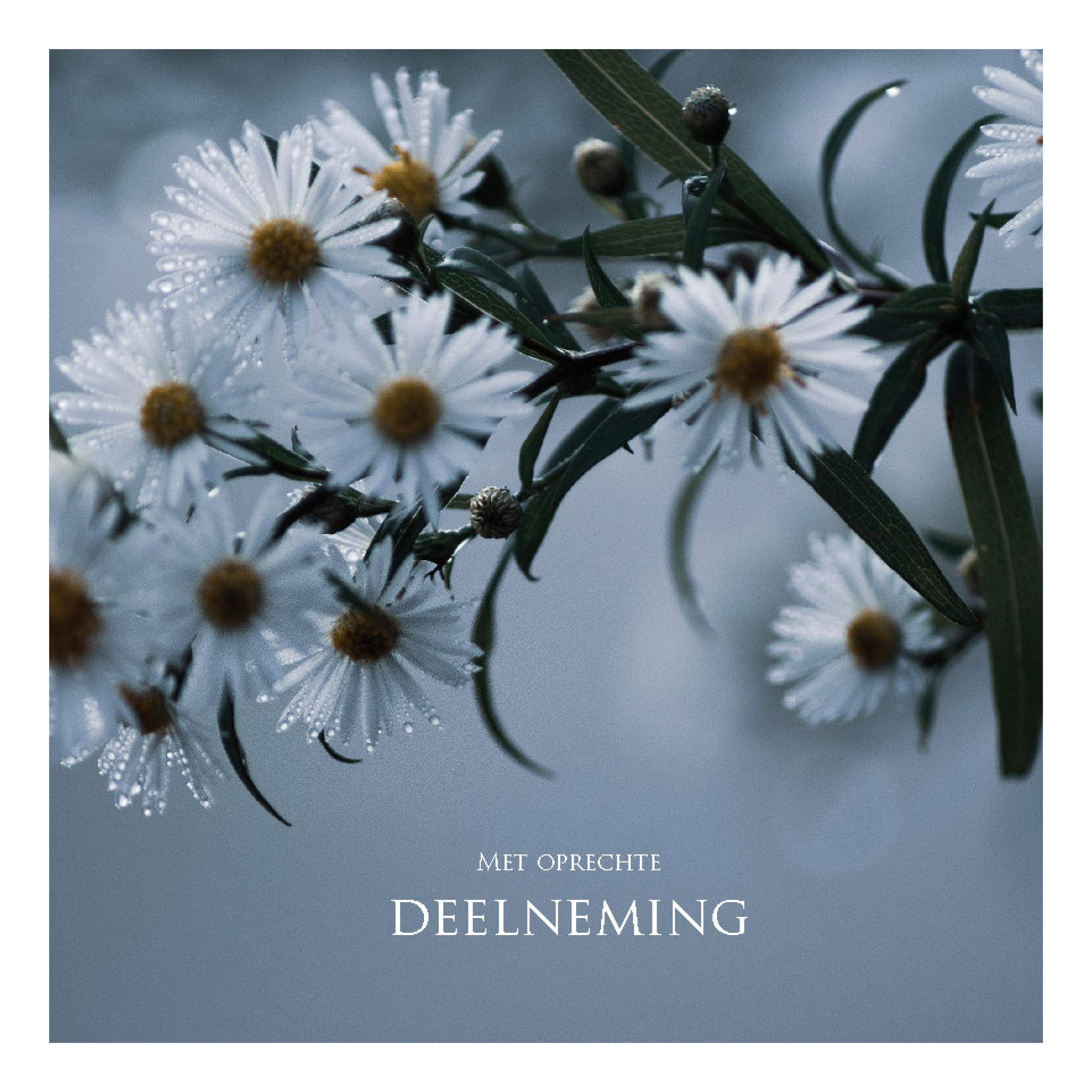 Wenskaart 'Met oprechte deelneming'