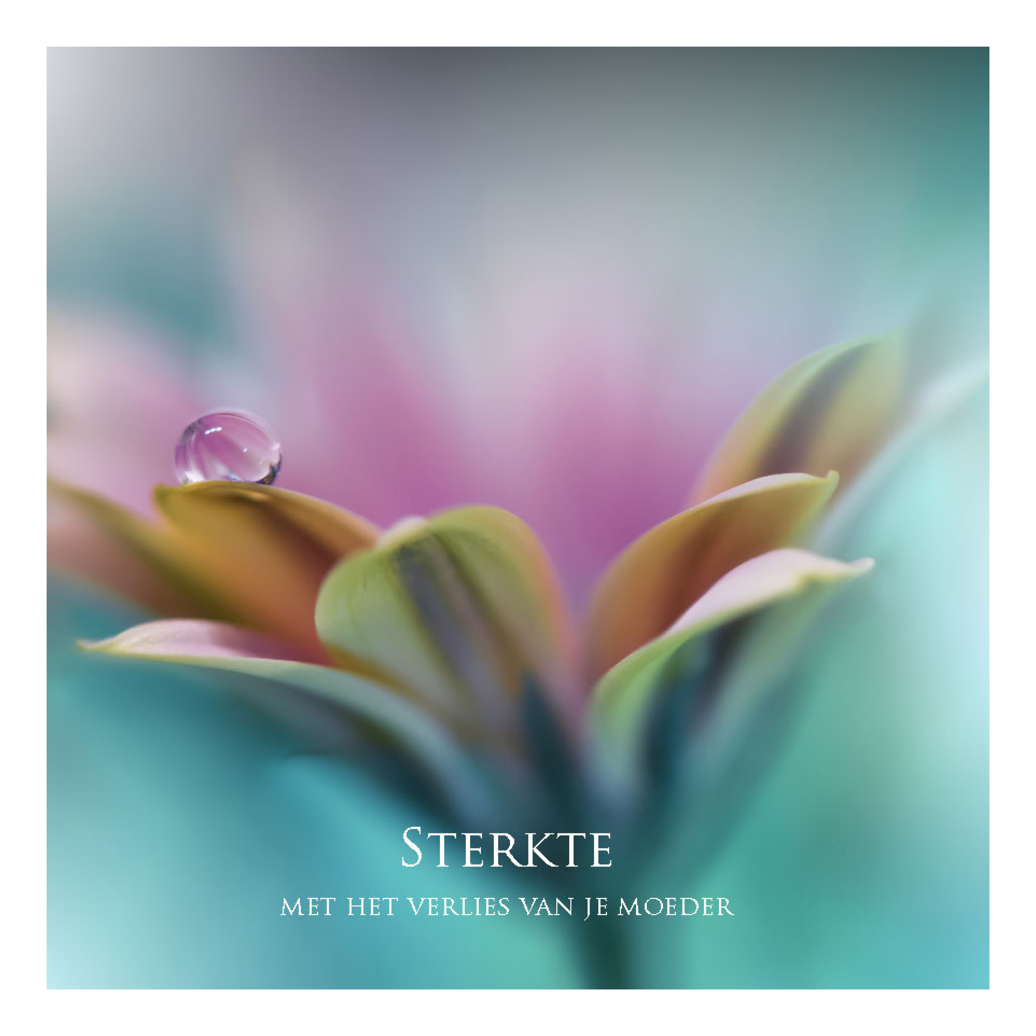 Wenskaart 'Sterkte - verlies moeder'