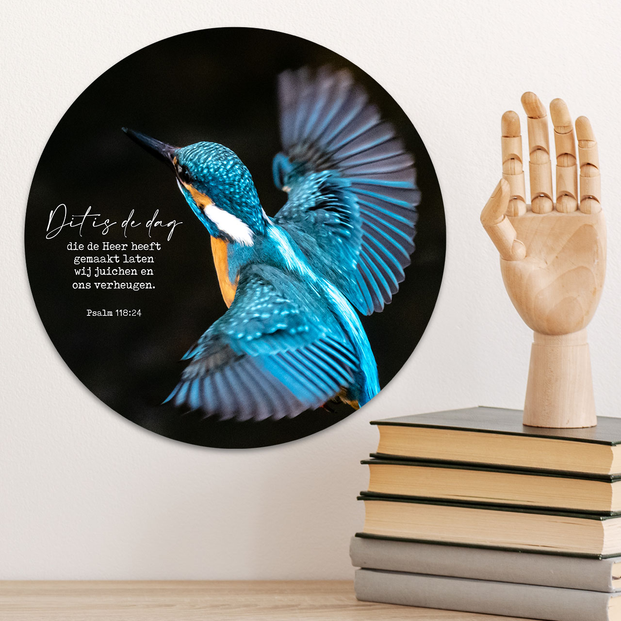 Muurcirkel 'IJsvogel'