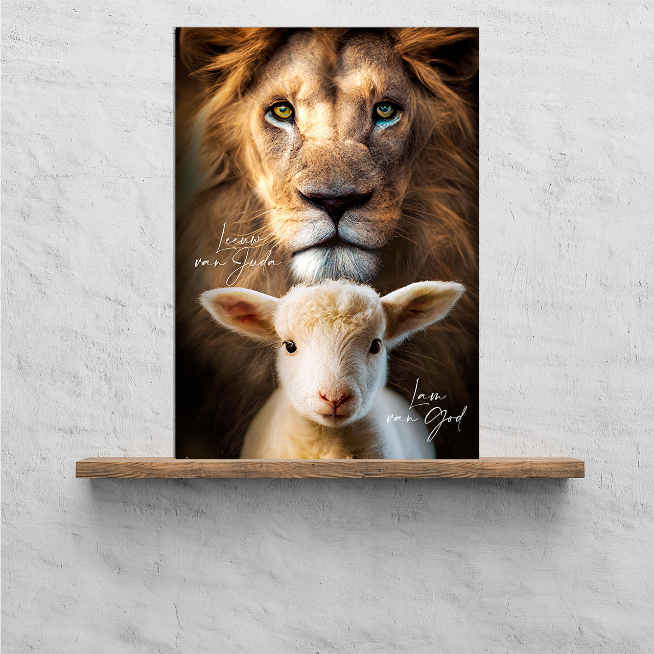 Plexiglas 'Leeuw & Lam'