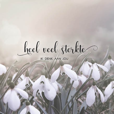 Kaart 'Sterkte ik denk aan jou'