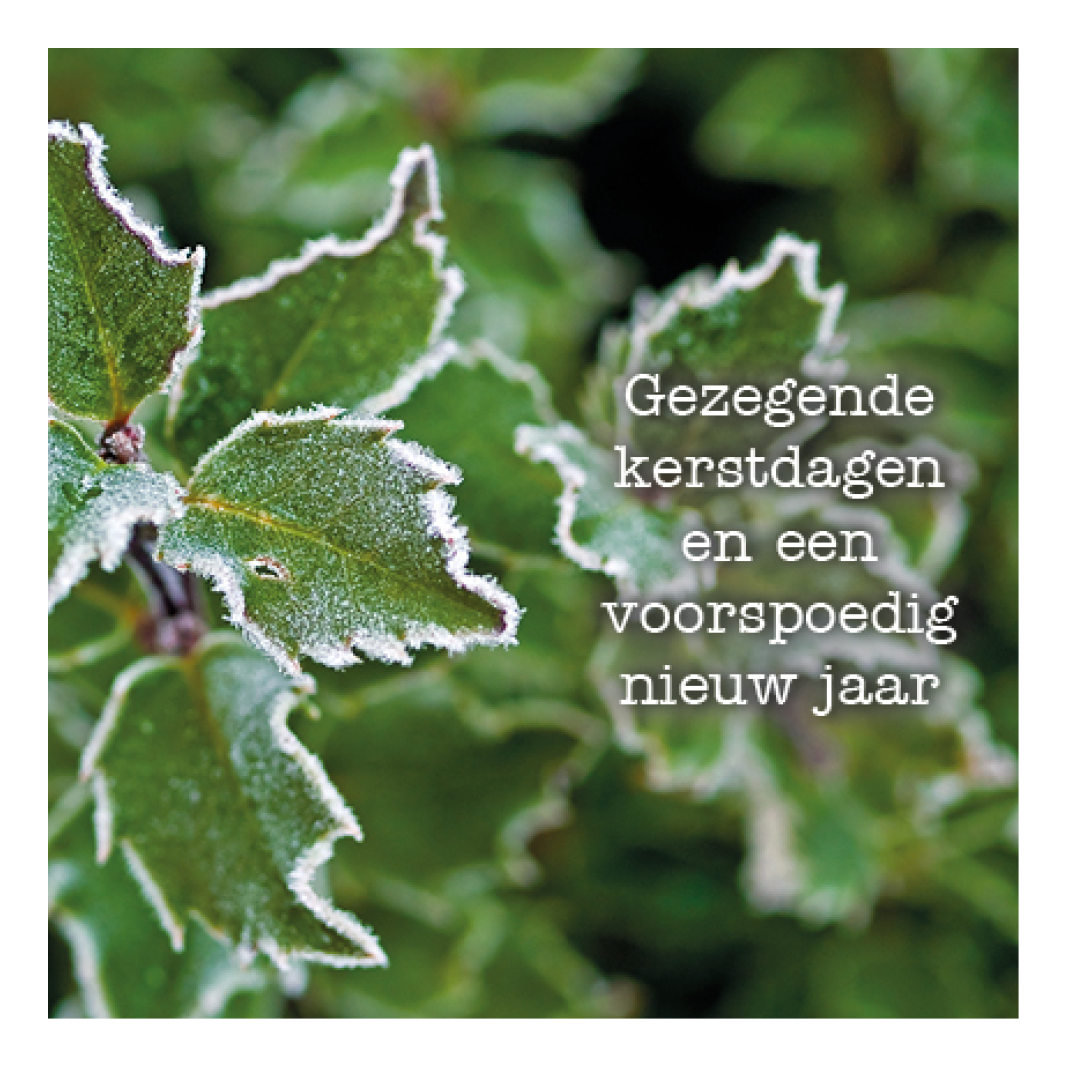 Voordeelpakje kerstkaarten 'Frozen 3' - 6 stuks