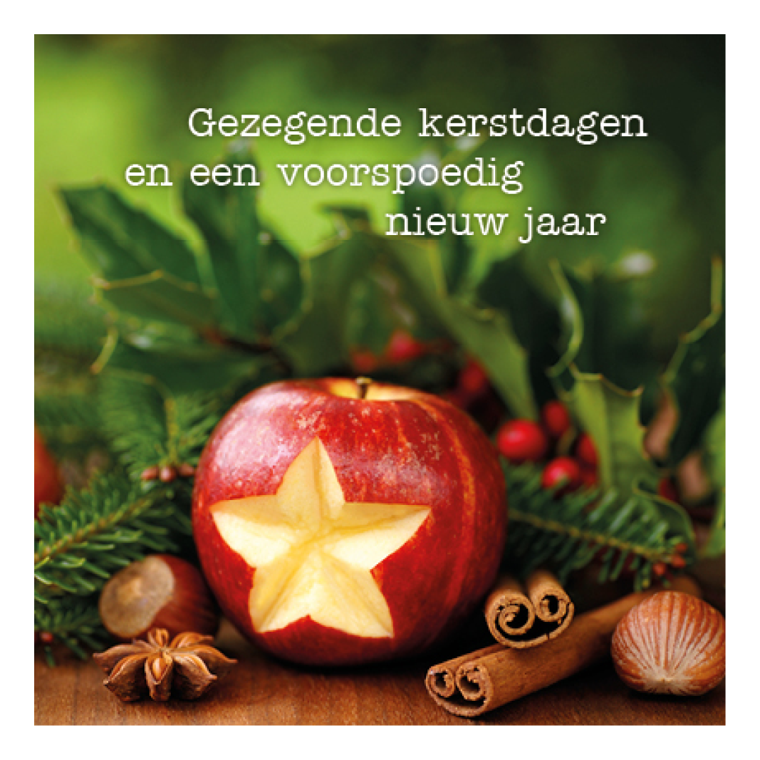 Kerstkaart 'Ster in appel'