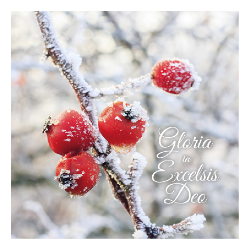 Voordeelpakje kerstkaarten 'Frozen 1' - 6 stuks