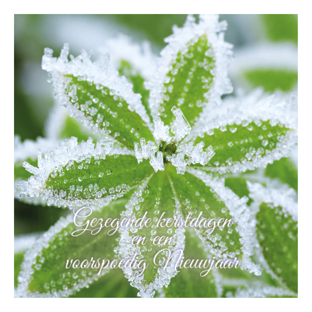 Voordeelpakje kerstkaarten 'Frozen 1' - 6 stuks - Afbeelding 2