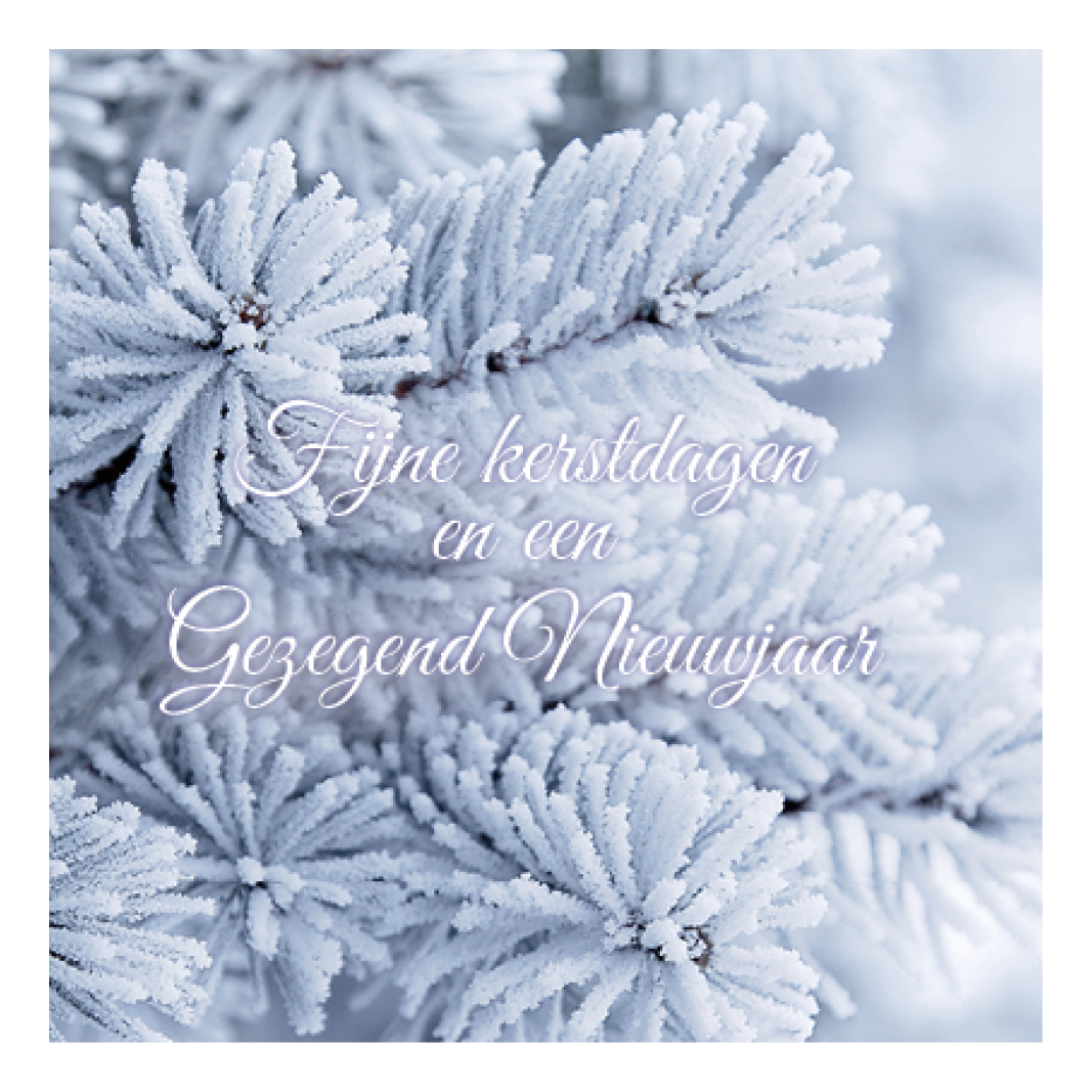 Voordeelpakje kerstkaarten 'Frozen 1' - 6 stuks - Afbeelding 4