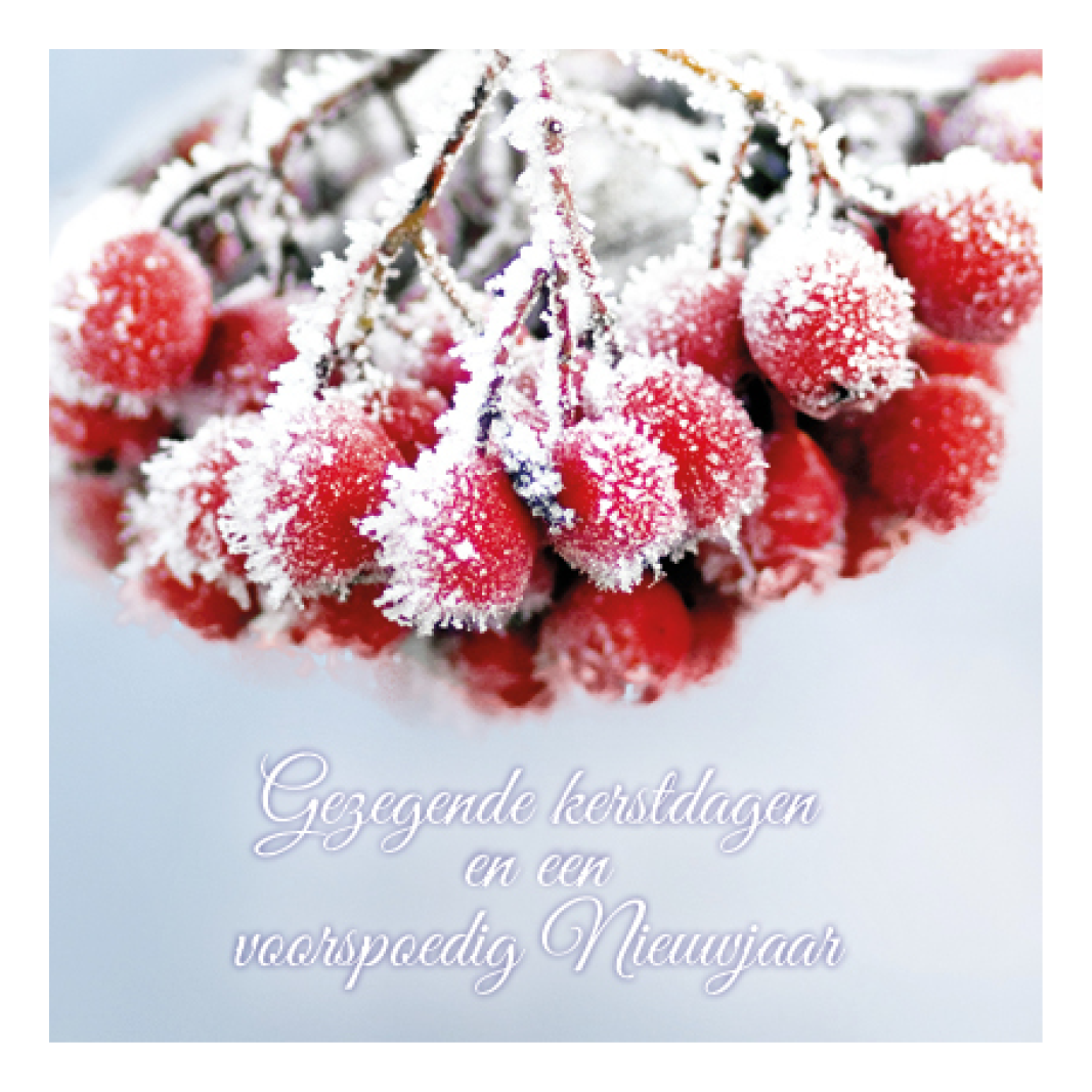 Voordeelpakje kerstkaarten 'Frozen 1' - 6 stuks - Afbeelding 5