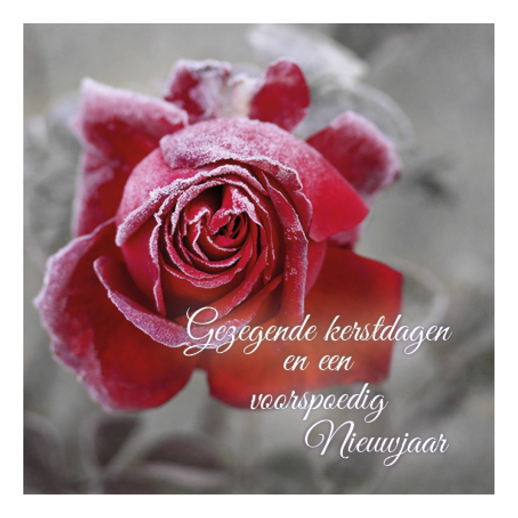 Voordeelpakje kerstkaarten 'Frozen 1' - 6 stuks - Afbeelding 6