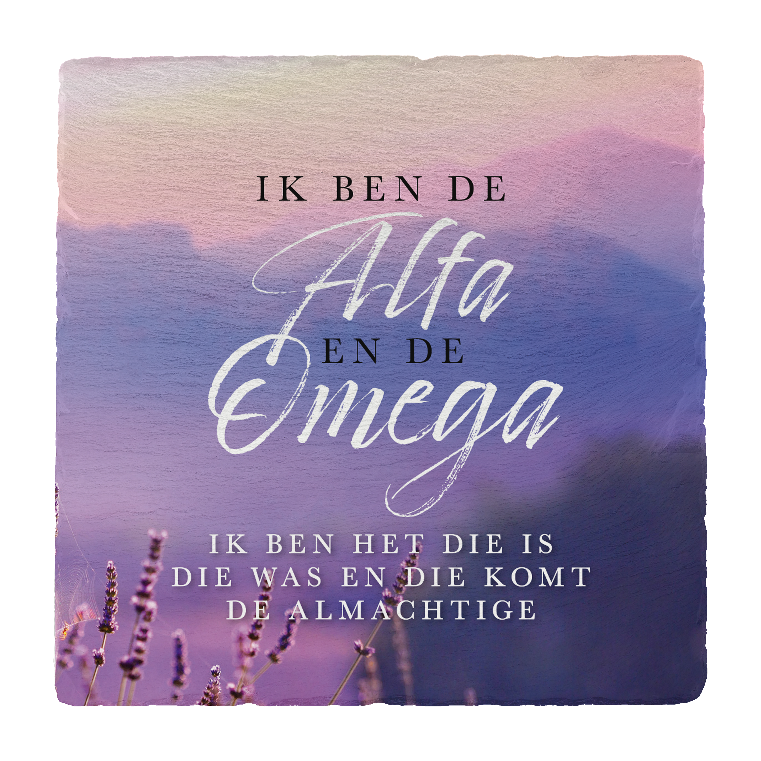 Leisteen 'Alfa en Omega'