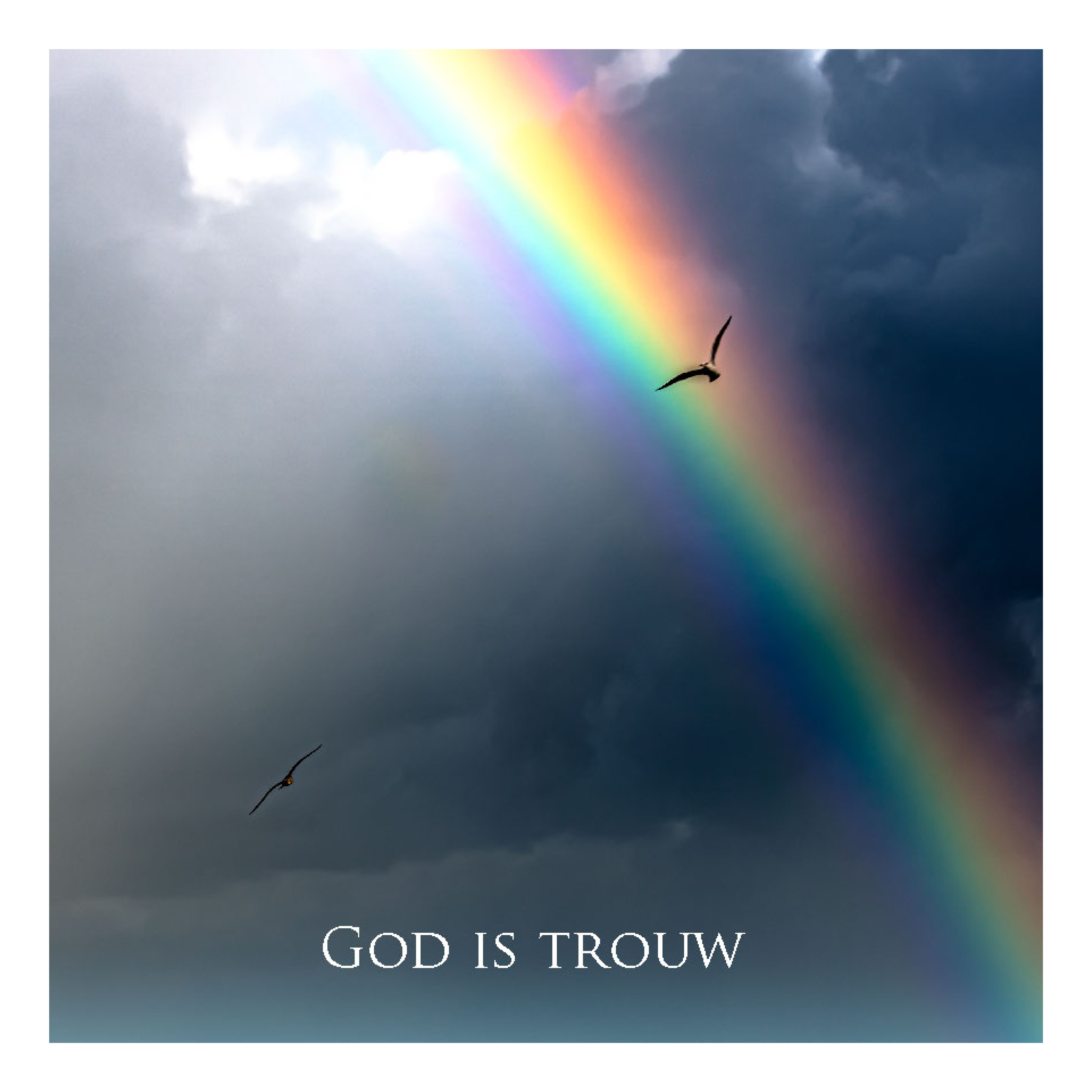 Wenskaart 'God is trouw'