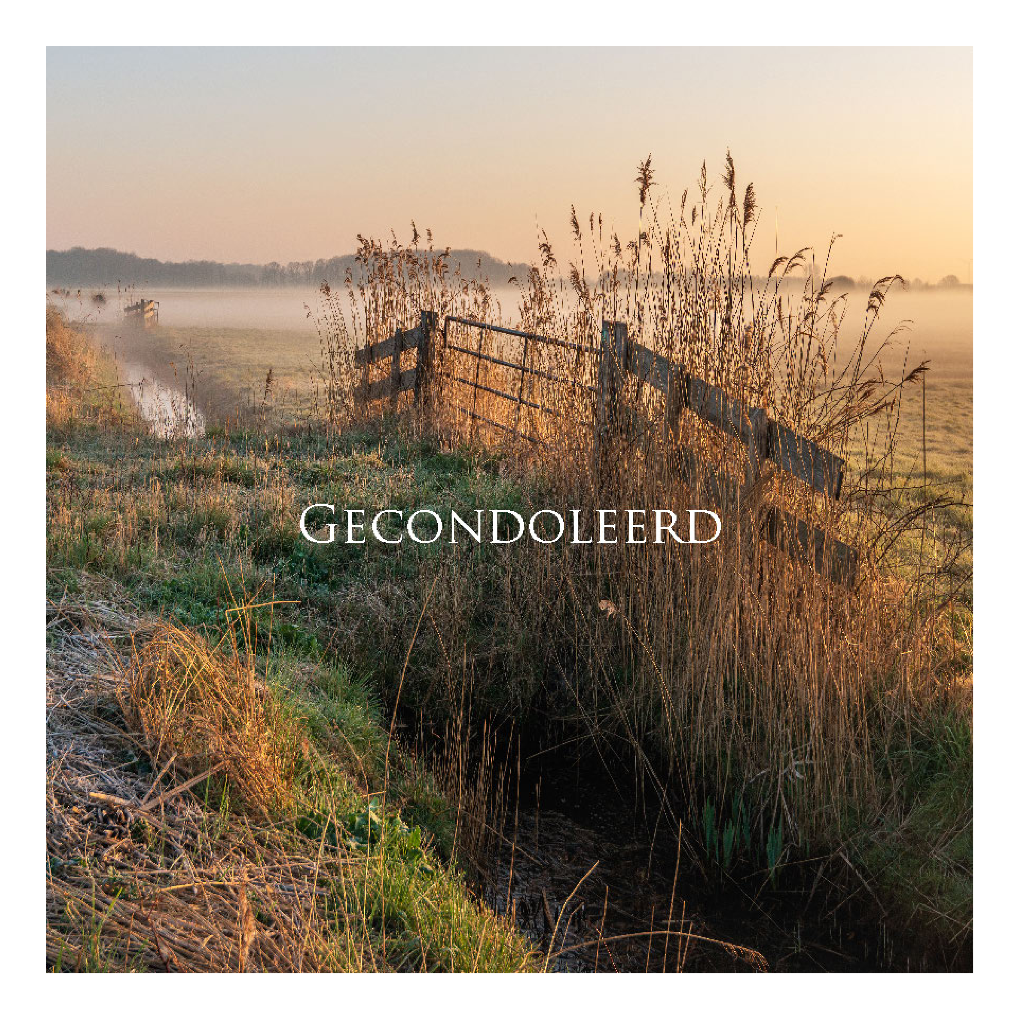 Wenskaart 'Gecondoleerd - hekje'