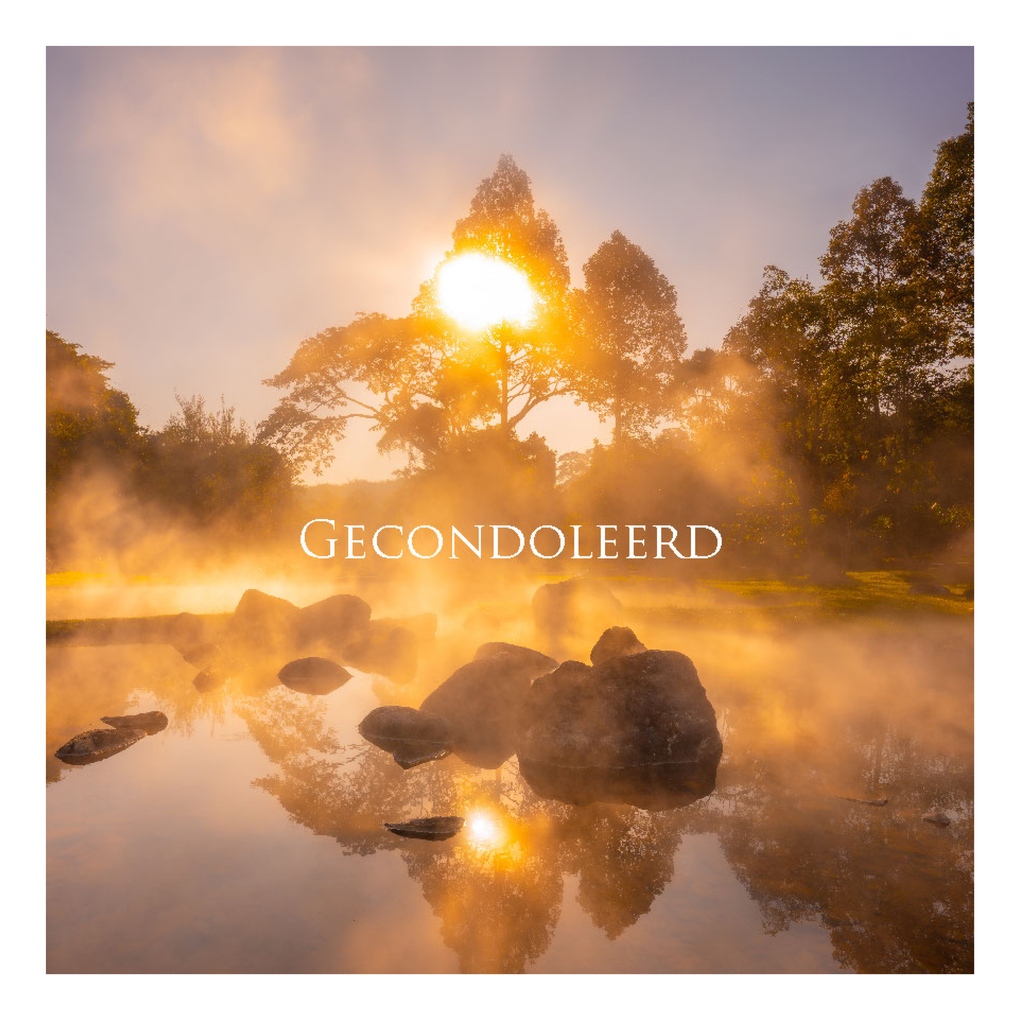 Wenskaart 'Gecondoleerd - zon'