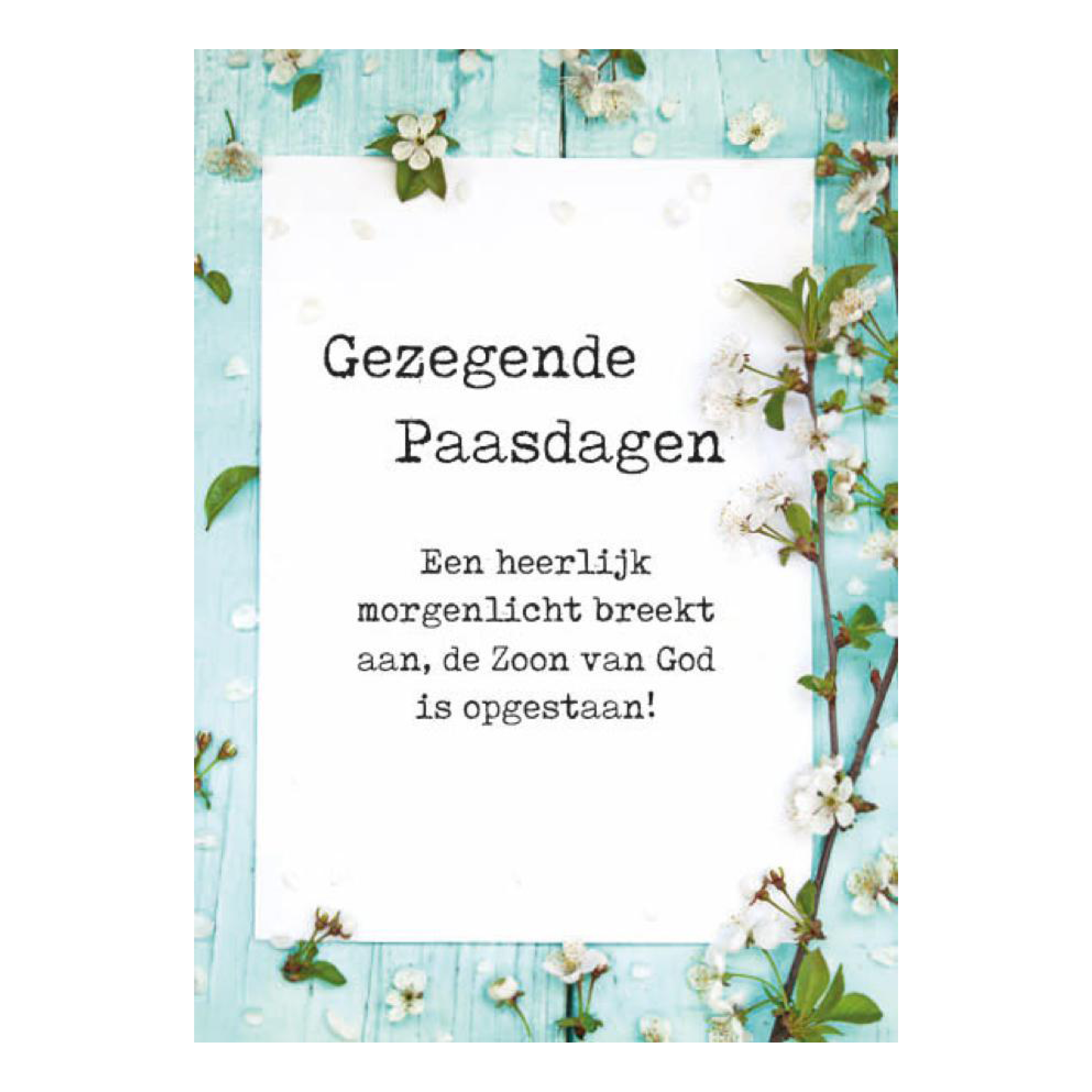 Voordeelkaart 'Gezegende paasdagen - morgenlicht'