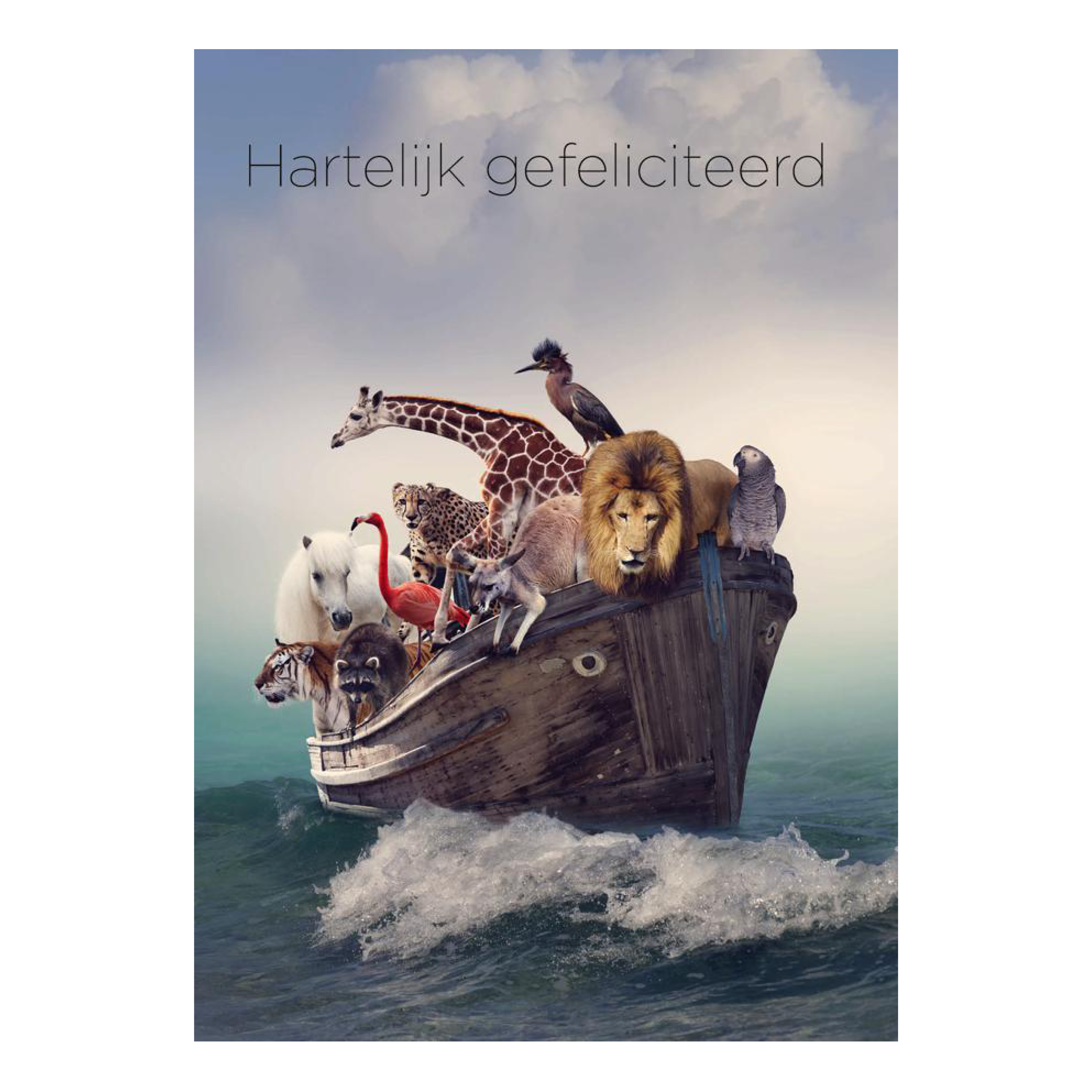 Voordeelkaart 'Hartelijke Gefeliciteerd - Ark van Noach'