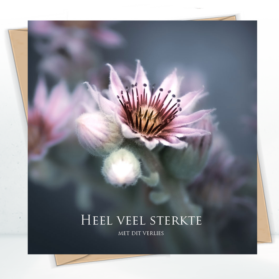 Sterkte & deelneming