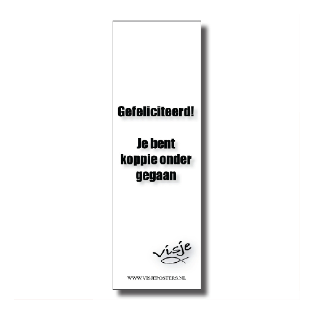 * Voordeelpakket 30 verschillende  Visje boekenleggers