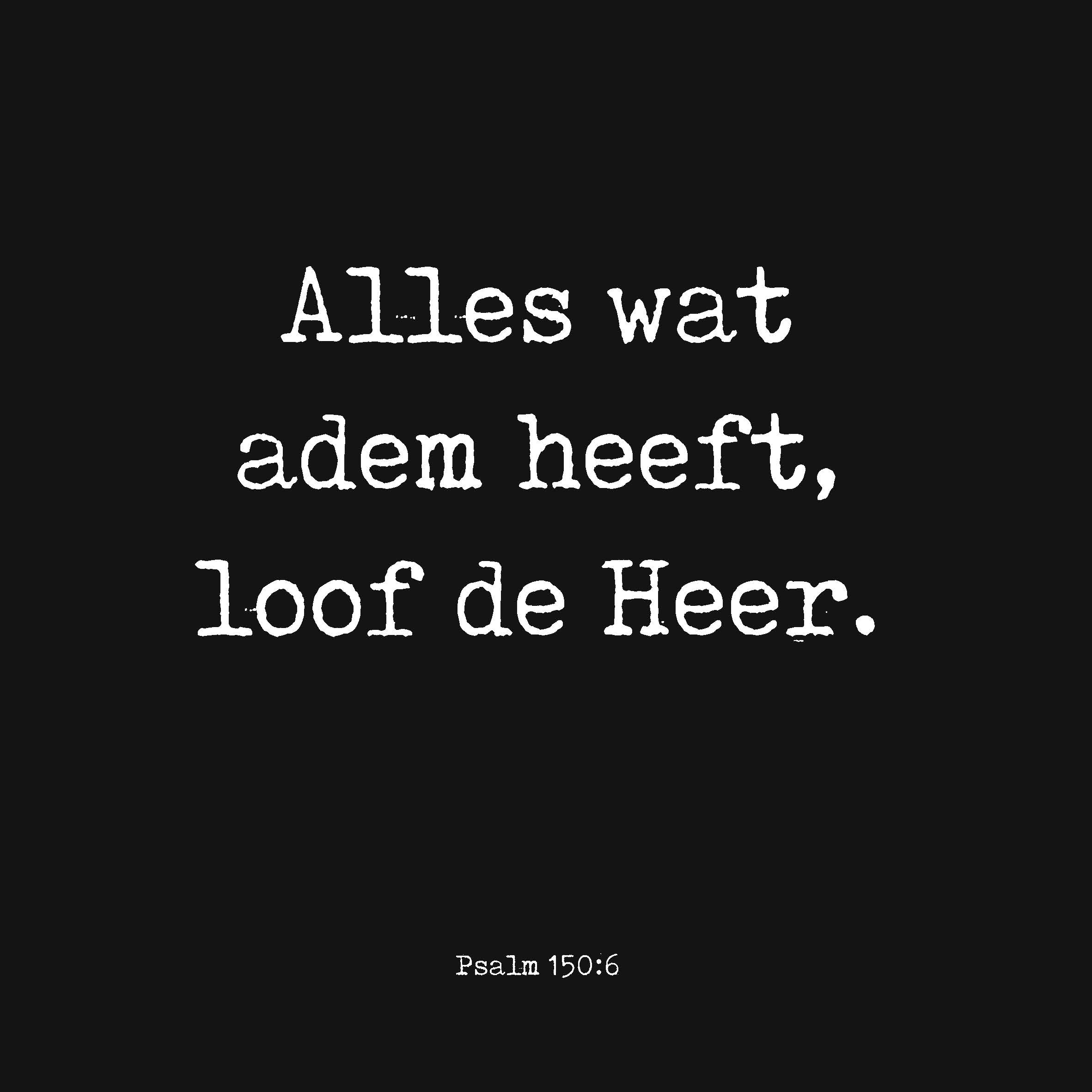 Collage Deco - 14 cm